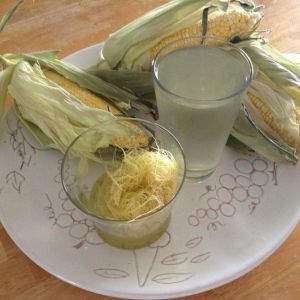 Čaj od kukuruzne svile 50g - Institut Josif Pančić